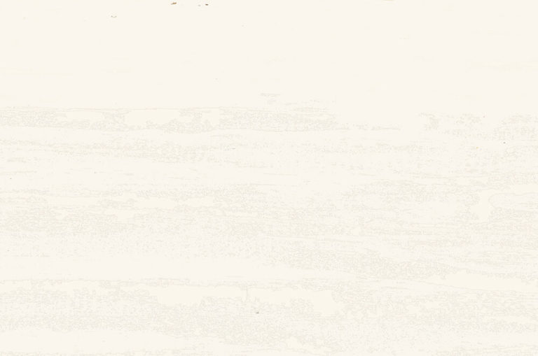 Whitewashed