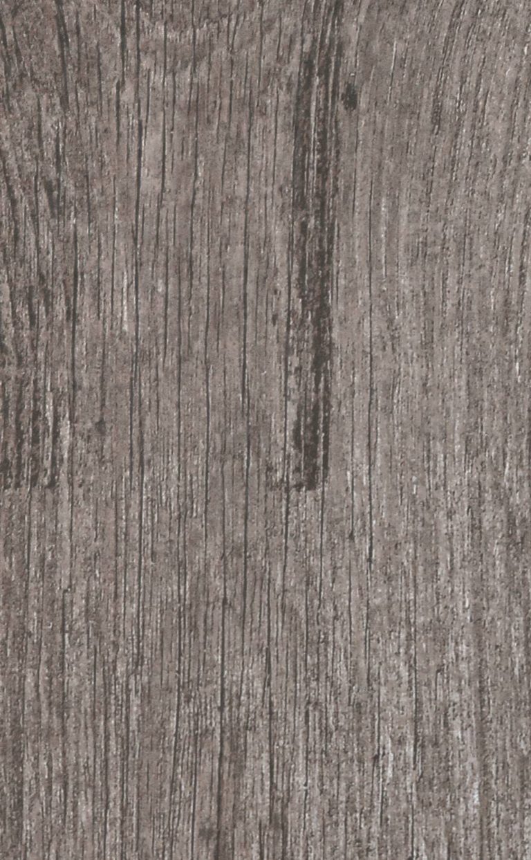 Petrified Forest BV 13